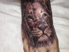 tattoo-leone-19