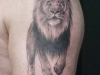 tattoo-leone-4
