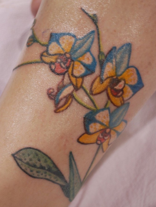 Tatuaggio Orchidea Significato Ed Immagini Passionetattoo
