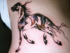 tatuaggio-cavallo-15