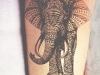 tatuaggi-elefante-10