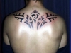 simbolo_maori_334_20110609_1853373514