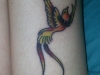 tatuaggi-phoenix-01