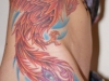 tatuaggi-phoenix-08