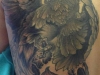 tatuaggi-phoenix-10
