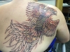 tatuaggi-phoenix-16