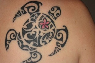 Tatuaggio di una tartaruga Maori