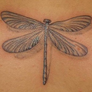 tattoo libellula caratteristiche significati