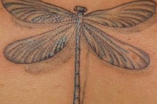 tattoo libellula caratteristiche significati