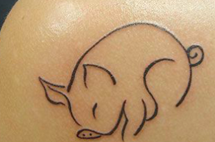 pig-tattoo