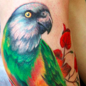 tatuaggio papapgallo