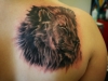 tattoo-leone-28