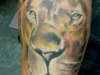 tattoo-leone-5