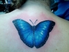 butterfly-tattoo-1