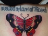 butterfly-tattoo-17