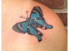 butterfly-tattoo-20