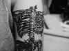 butterfly-tattoo-5