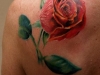 tattoo-rosa-8.jpg