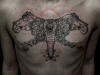 tatuaggi-elefante-14