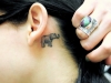 tatuaggi-elefante-6