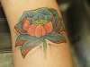 lotus flower-6