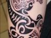 gecko_tattoo_18_20120211_1923764733