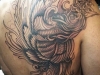 tatuaggi-phoenix-18