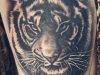 tigrecinese-tatuaggio-10