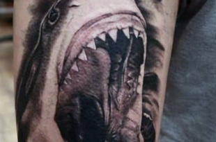 tattoo squalo