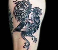 gallo tattoo